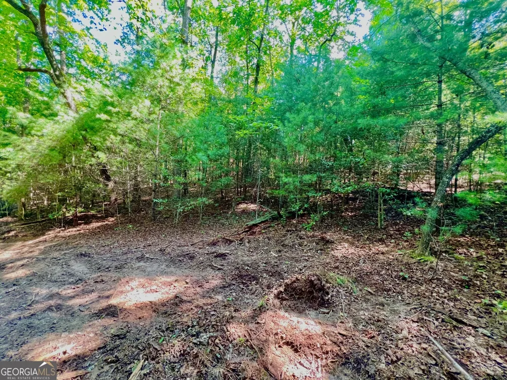 TRACK 2 Afton RD Dawsonville, GA 30534