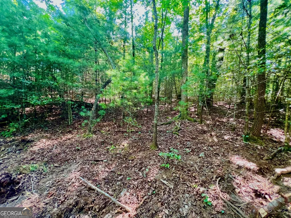 TRACK 2 Afton RD Dawsonville, GA 30534