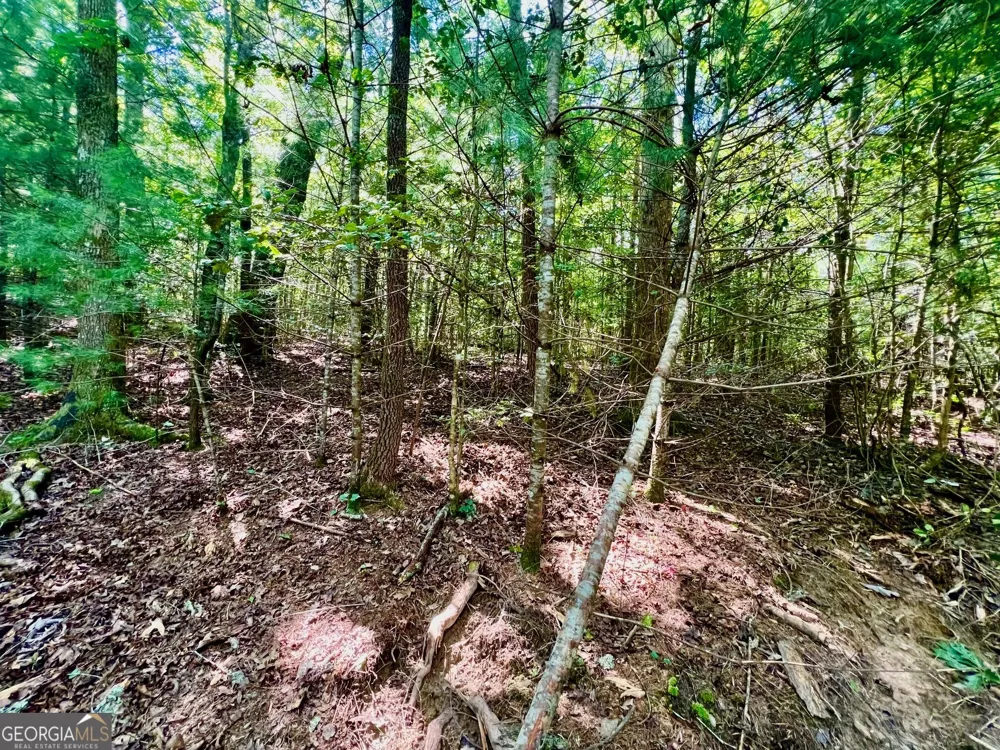 TRACK 2 Afton RD Dawsonville, GA 30534
