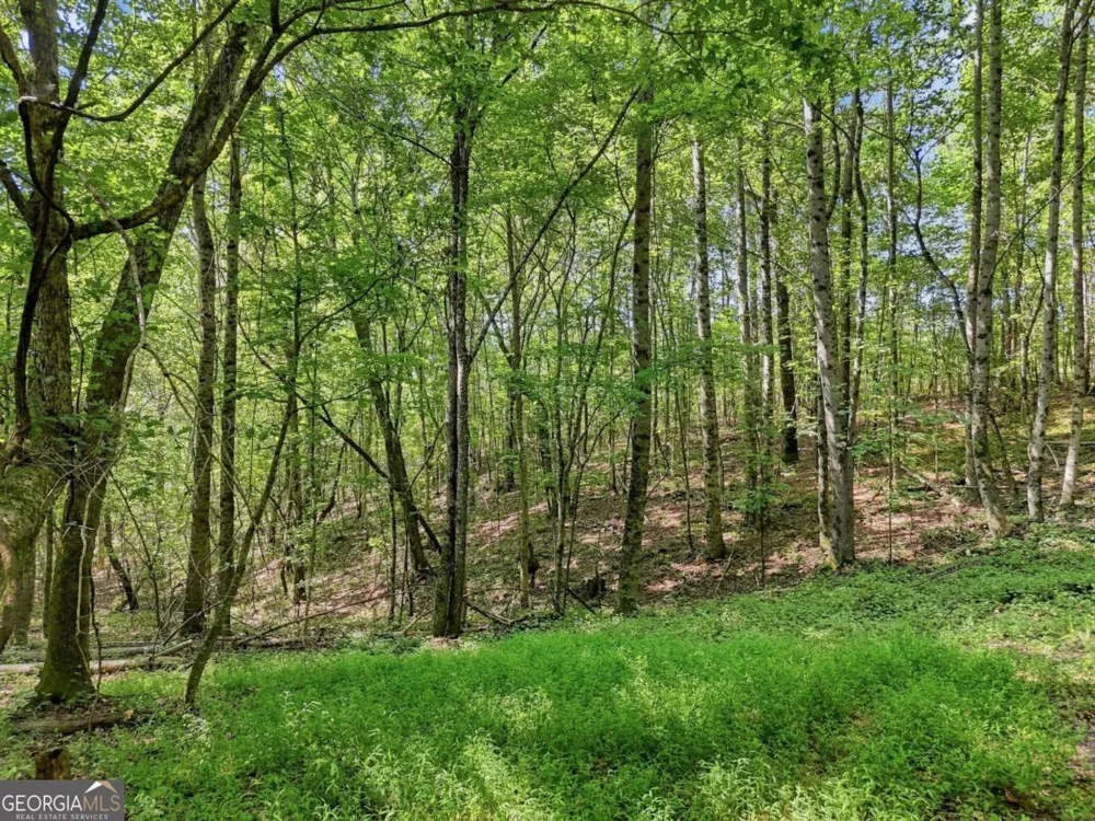 590 Old Shyers Ford RD Talking Rock, GA 30175