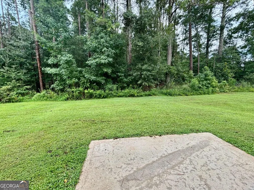 629 Carlton Pointe DR Palmetto, GA 30268