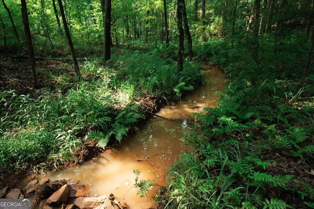 252 Rum Creek PASS Juliette, GA 31046
