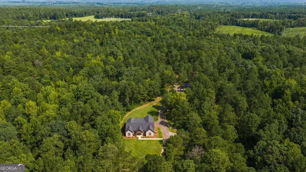 252 Rum Creek PASS Juliette, GA 31046