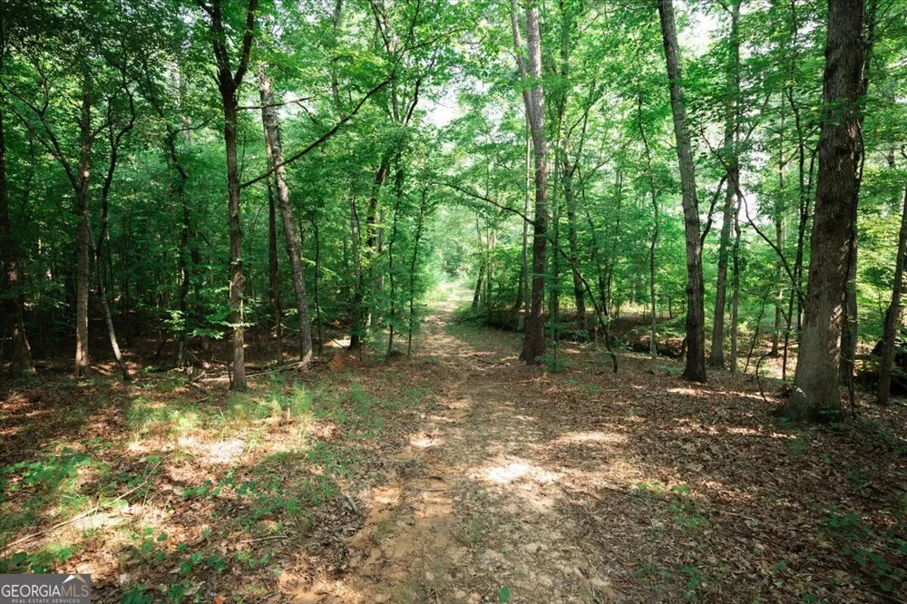 252 Rum Creek PASS Juliette, GA 31046