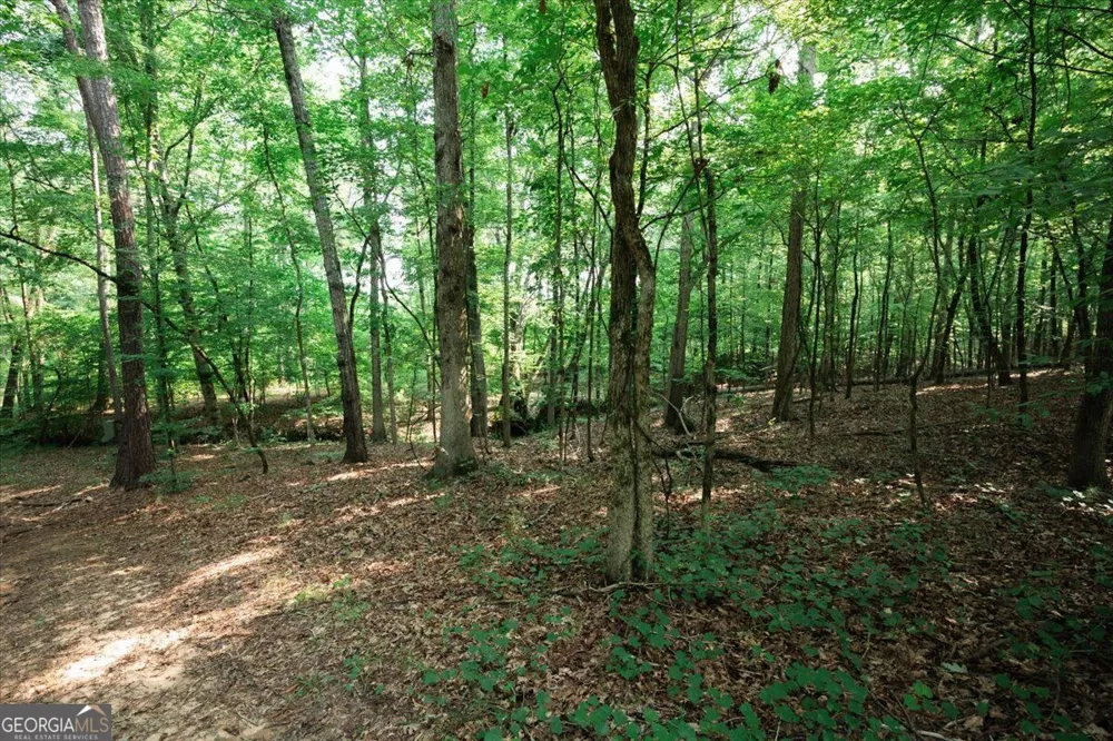 252 Rum Creek PASS Juliette, GA 31046