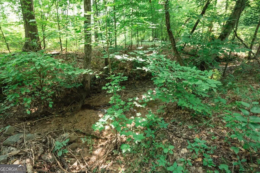 252 Rum Creek PASS Juliette, GA 31046