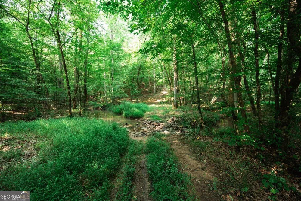 252 Rum Creek PASS Juliette, GA 31046