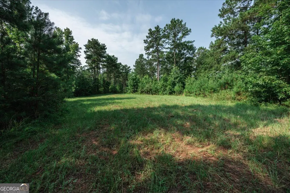 252 Rum Creek PASS Juliette, GA 31046