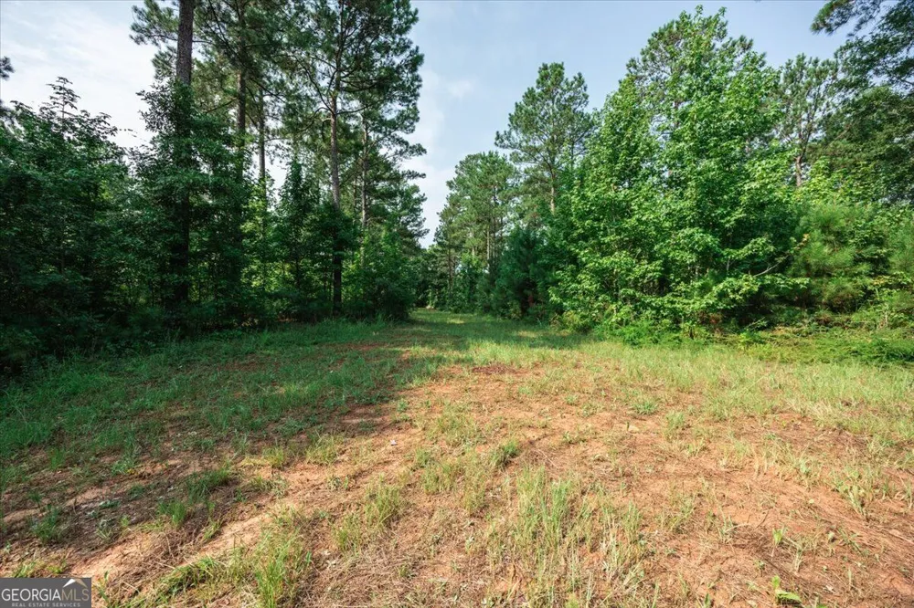252 Rum Creek PASS Juliette, GA 31046