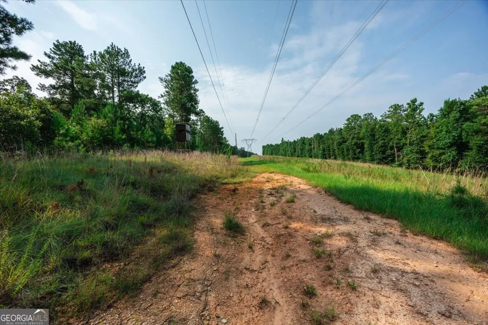 252 Rum Creek PASS Juliette, GA 31046