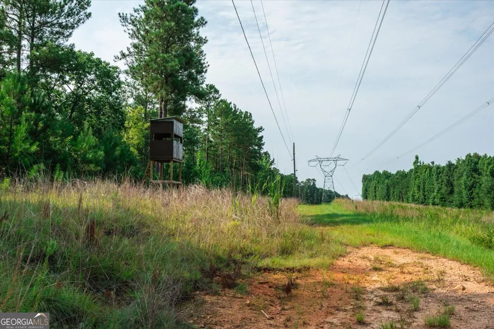 252 Rum Creek PASS Juliette, GA 31046