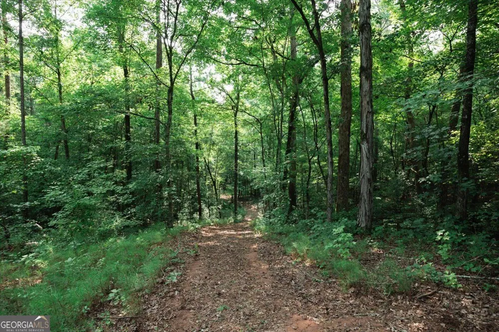 252 Rum Creek PASS Juliette, GA 31046