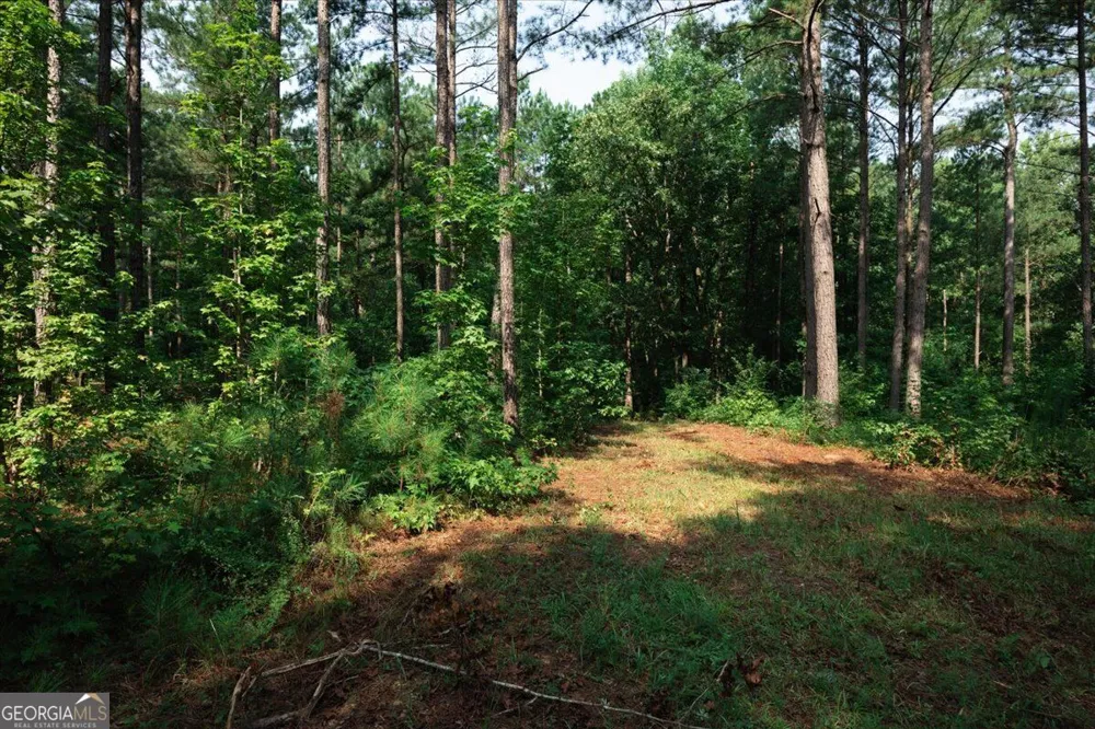 252 Rum Creek PASS Juliette, GA 31046