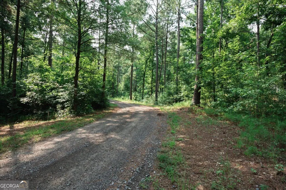252 Rum Creek PASS Juliette, GA 31046