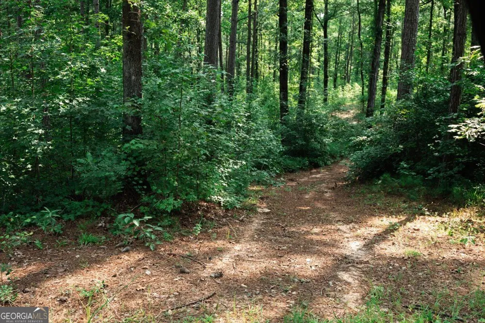 252 Rum Creek PASS Juliette, GA 31046