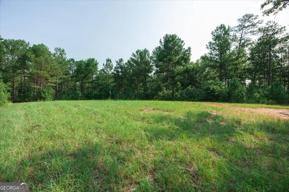 252 Rum Creek PASS Juliette, GA 31046