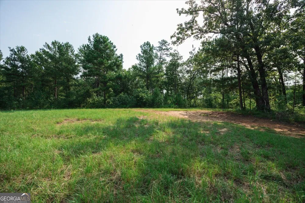 252 Rum Creek PASS Juliette, GA 31046