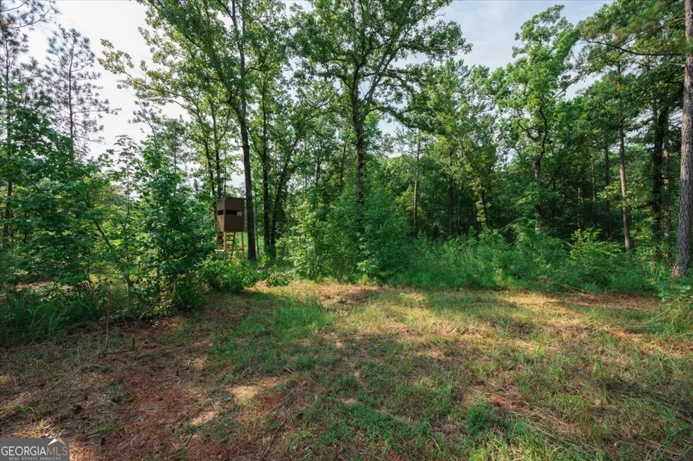 252 Rum Creek PASS Juliette, GA 31046