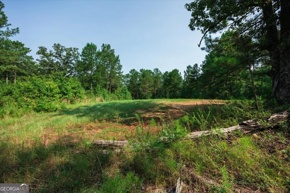 252 Rum Creek PASS Juliette, GA 31046