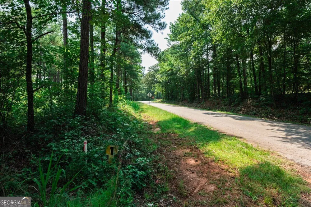 252 Rum Creek PASS Juliette, GA 31046