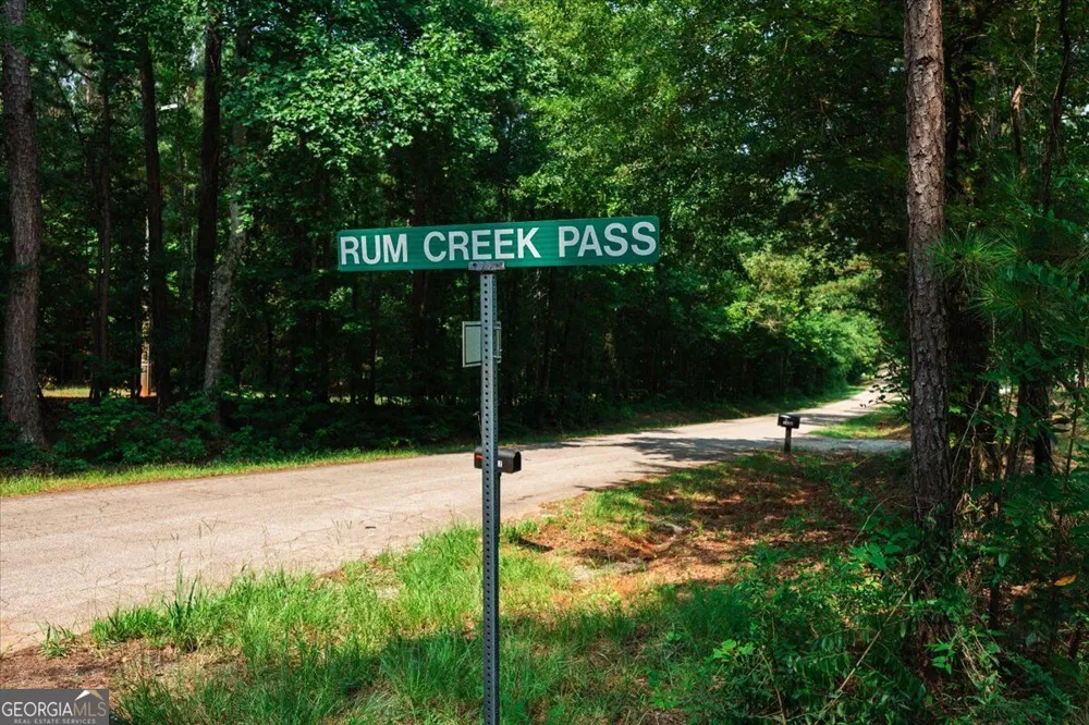 252 Rum Creek PASS Juliette, GA 31046