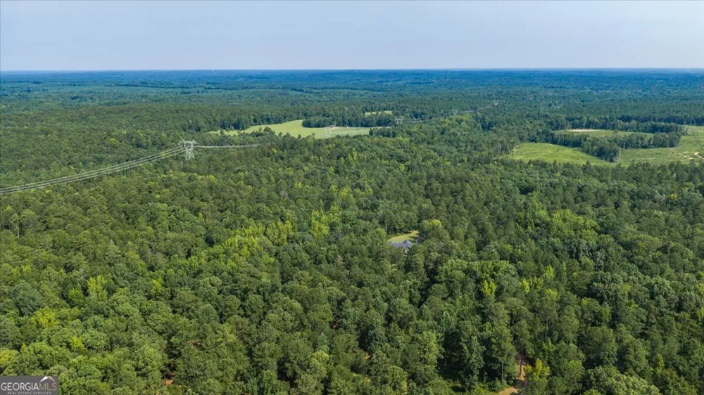 252 Rum Creek PASS Juliette, GA 31046