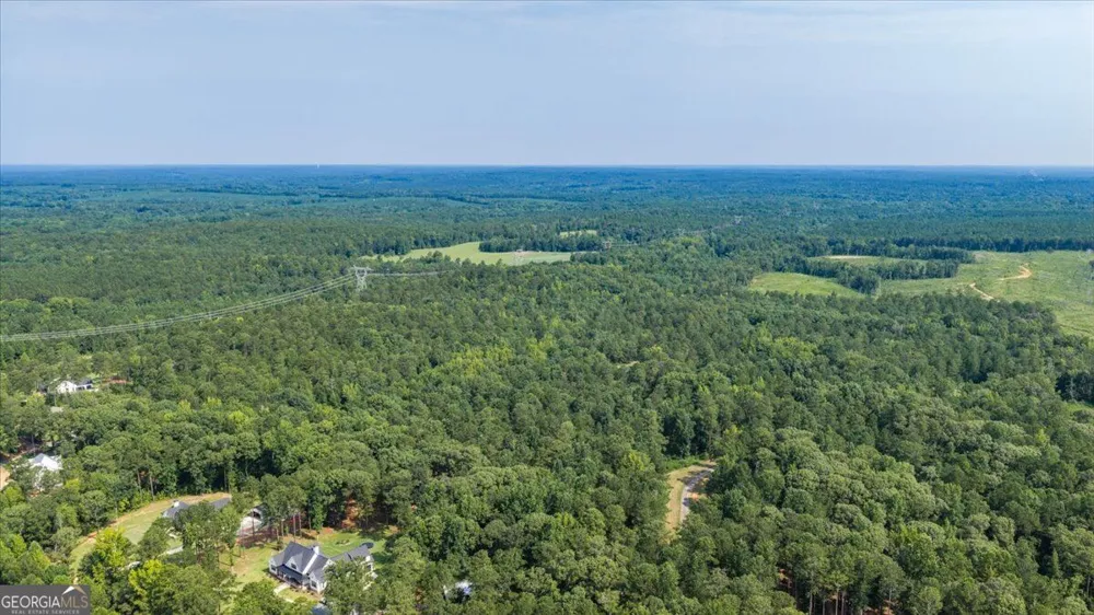 252 Rum Creek PASS Juliette, GA 31046