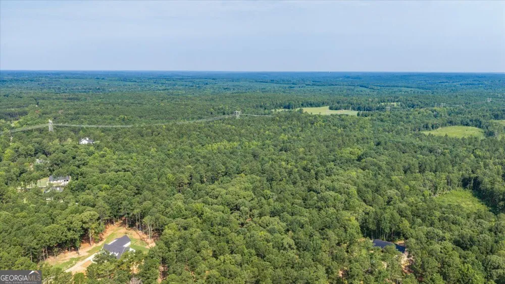 252 Rum Creek PASS Juliette, GA 31046