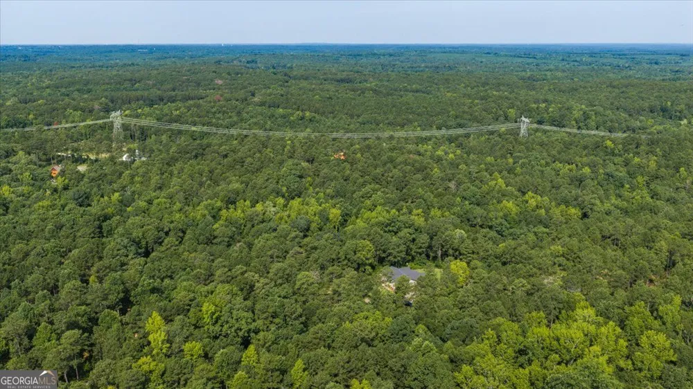 252 Rum Creek PASS Juliette, GA 31046
