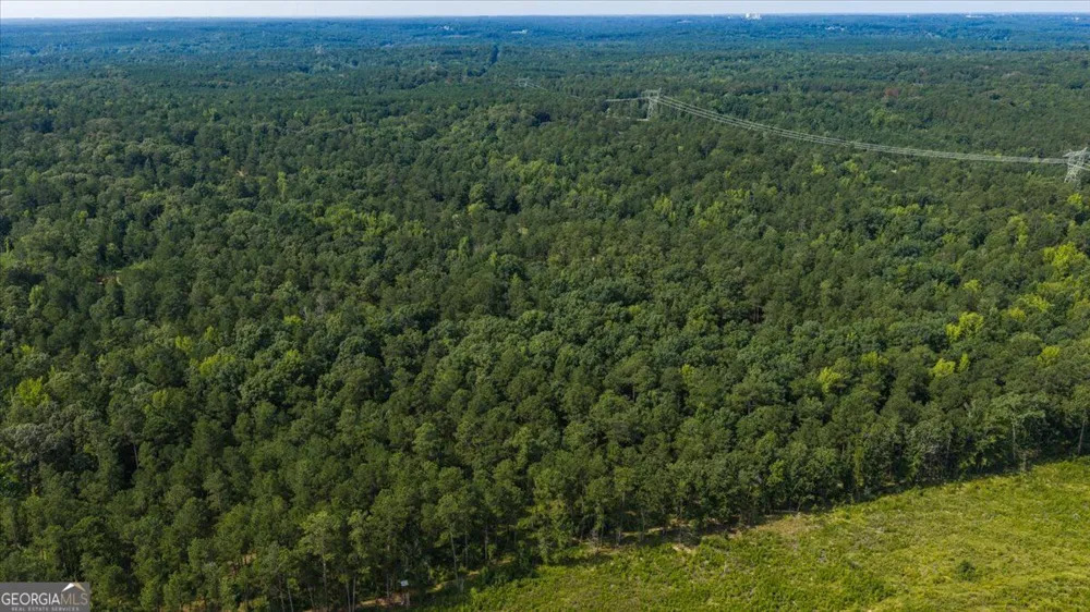 252 Rum Creek PASS Juliette, GA 31046
