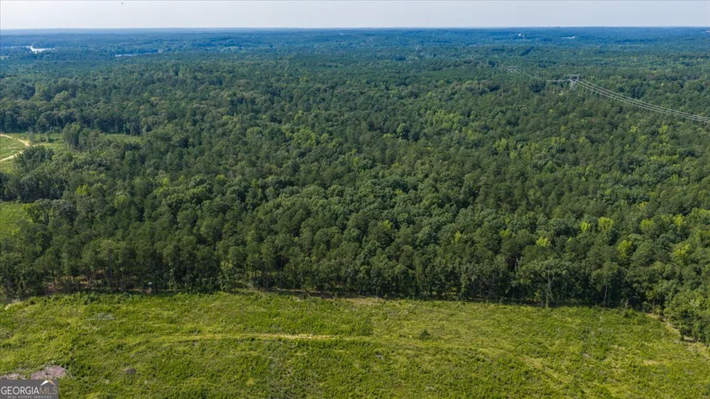 252 Rum Creek PASS Juliette, GA 31046