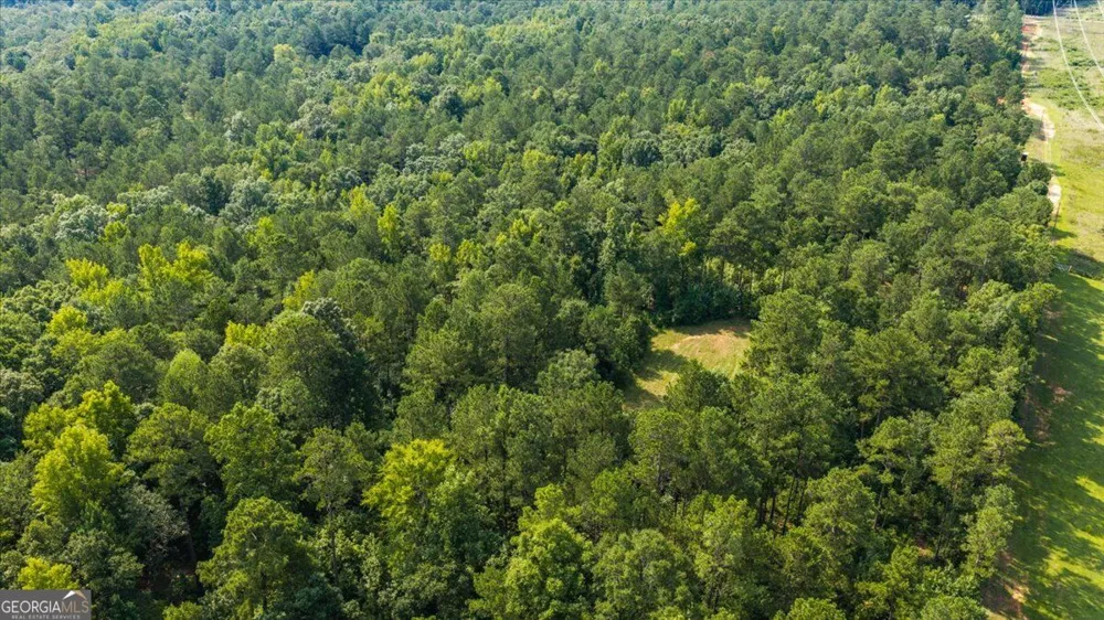 252 Rum Creek PASS Juliette, GA 31046