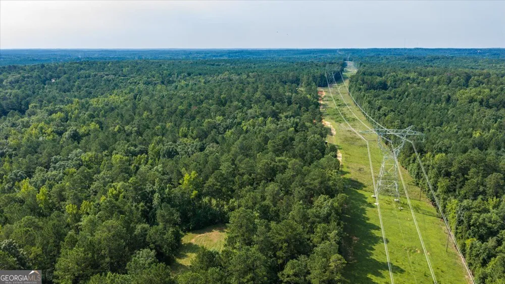 252 Rum Creek PASS Juliette, GA 31046