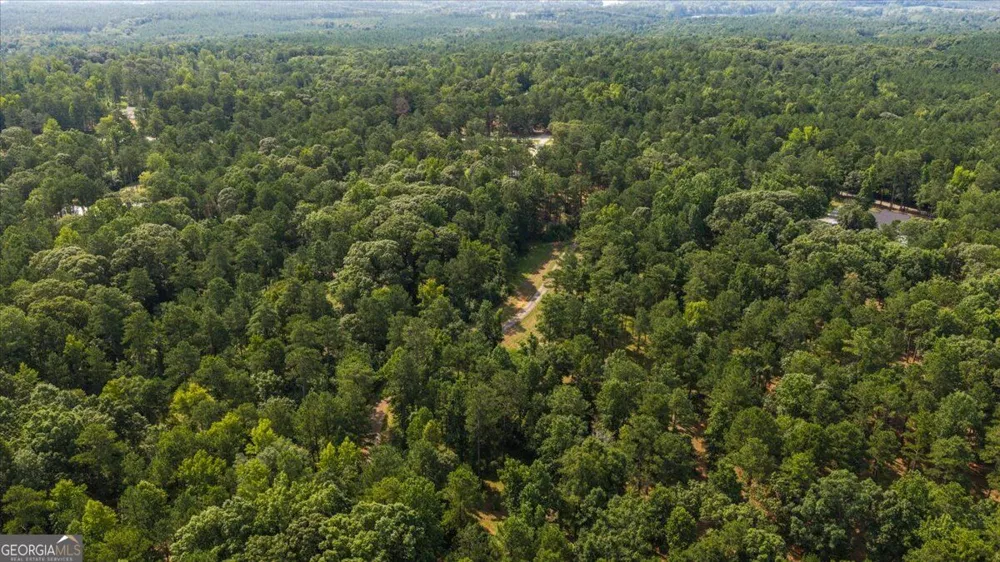 252 Rum Creek PASS Juliette, GA 31046