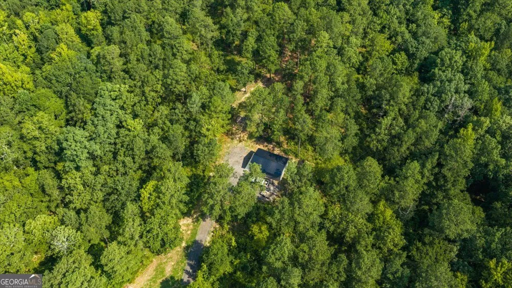 252 Rum Creek PASS Juliette, GA 31046