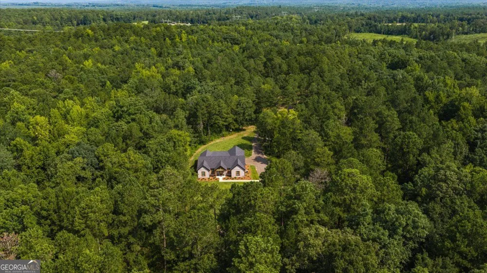 252 Rum Creek PASS Juliette, GA 31046