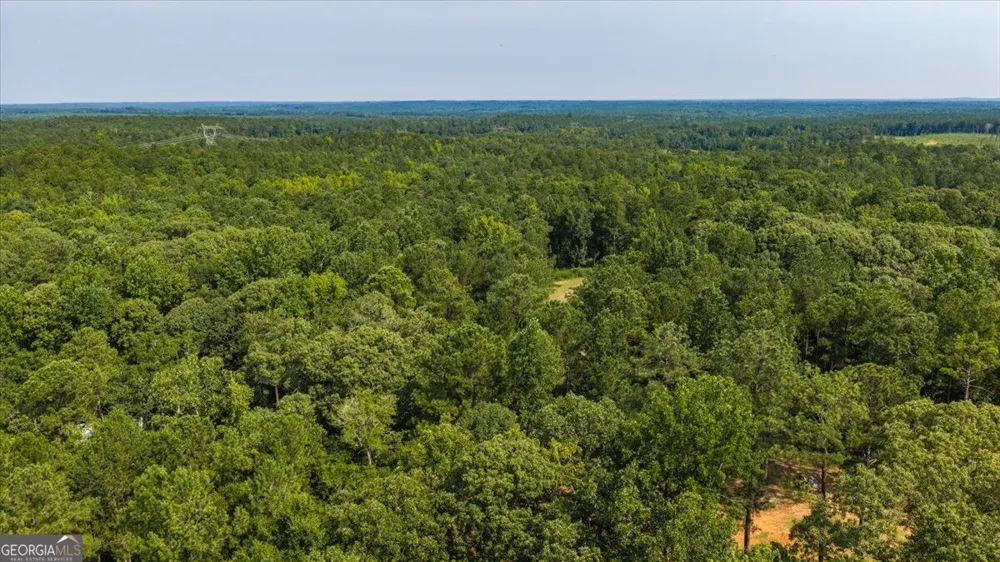 252 Rum Creek PASS Juliette, GA 31046