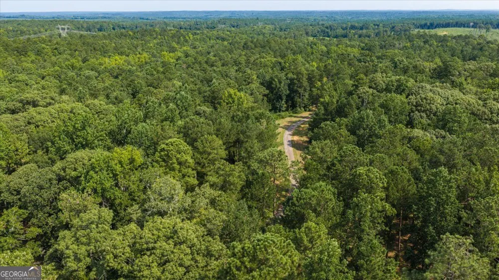 252 Rum Creek PASS Juliette, GA 31046