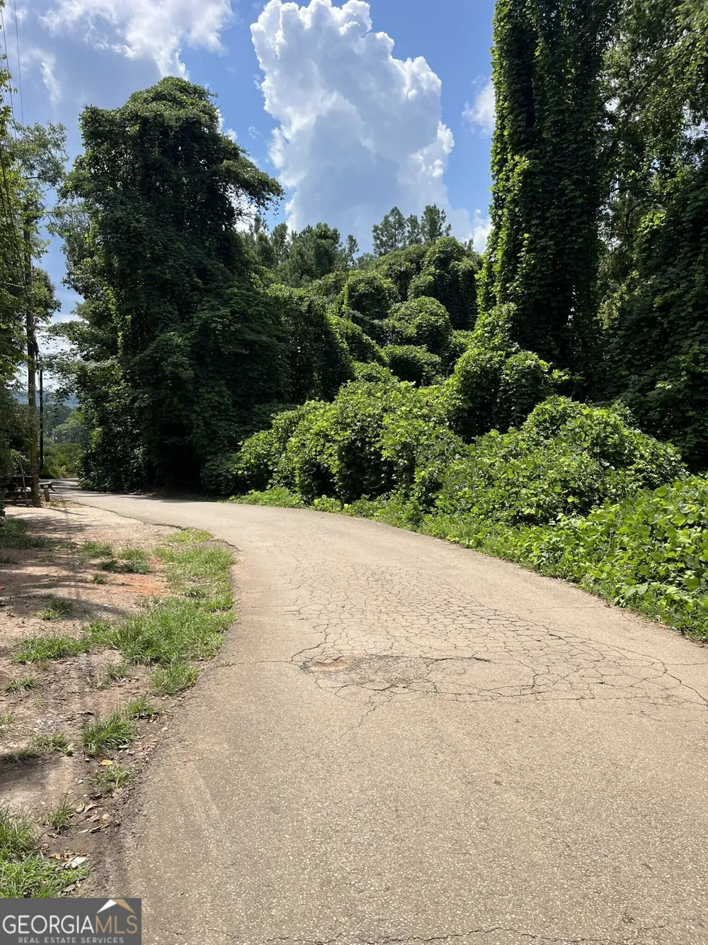 0 Oak ST Canton, GA 30114