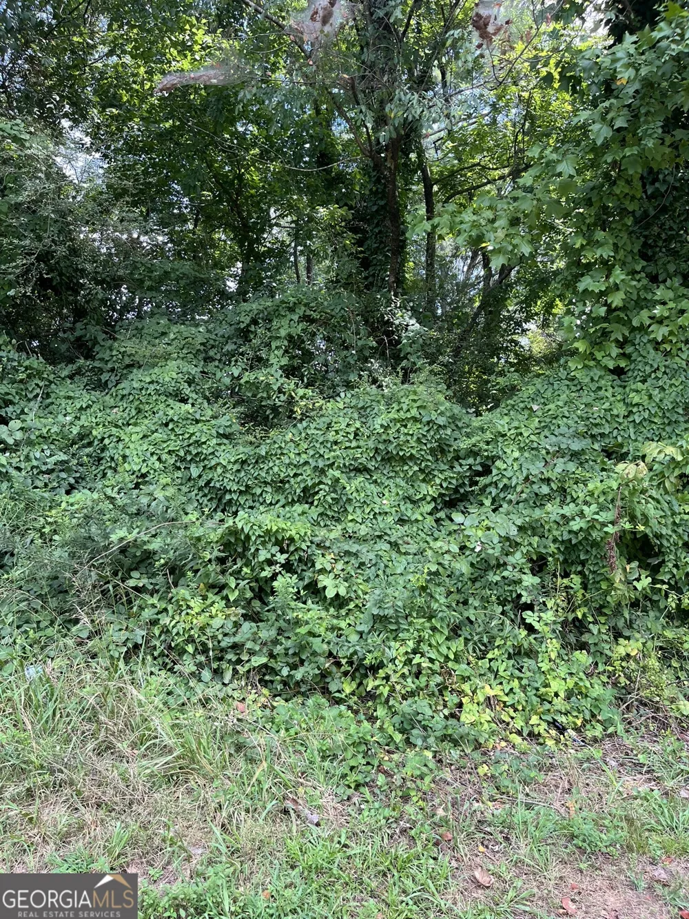 0 Oak ST Canton, GA 30114