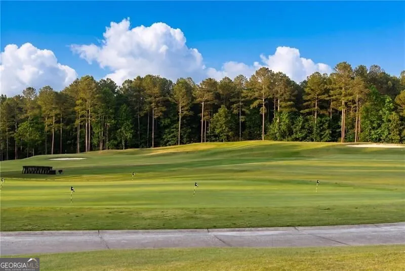 146 Lakeside DR Dawsonville, GA 30534