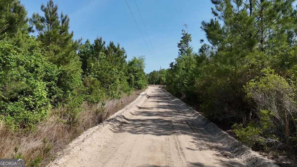 TRACT 1 Tillman Cemetery RD Lumber City, GA 31549