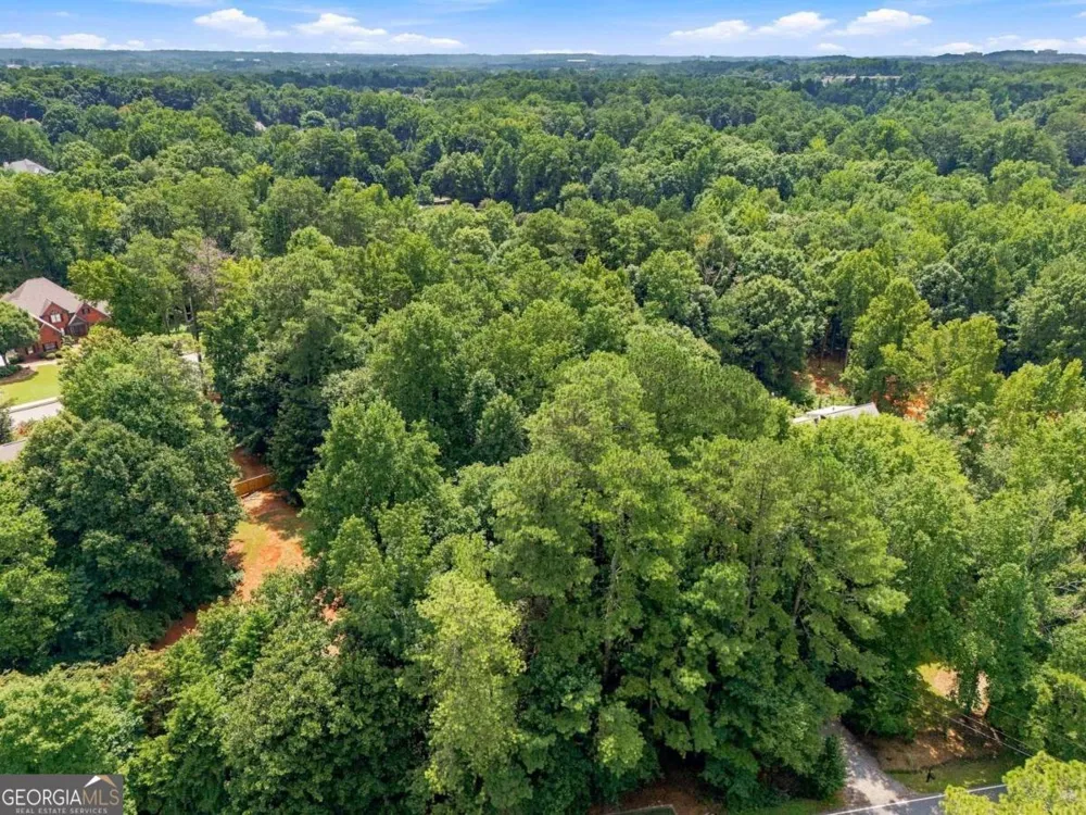 13405 Cogburn RD Milton, GA 30004