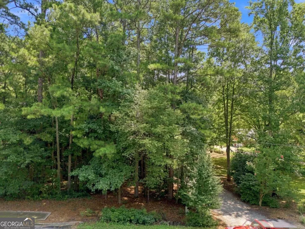 13405 Cogburn RD Milton, GA 30004