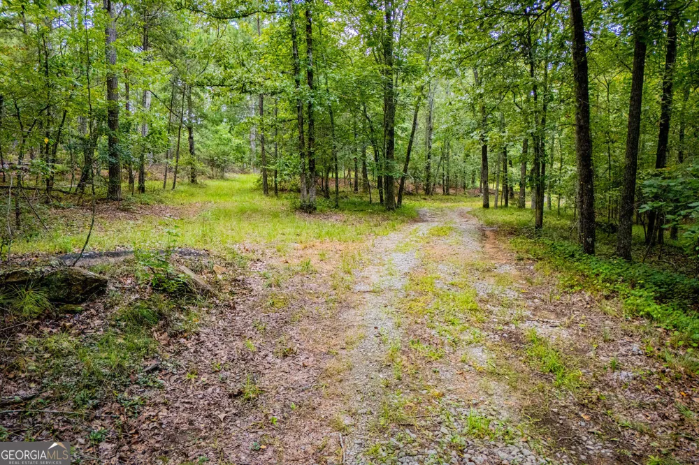 3960 Clinton CT Villa Rica, GA 30180