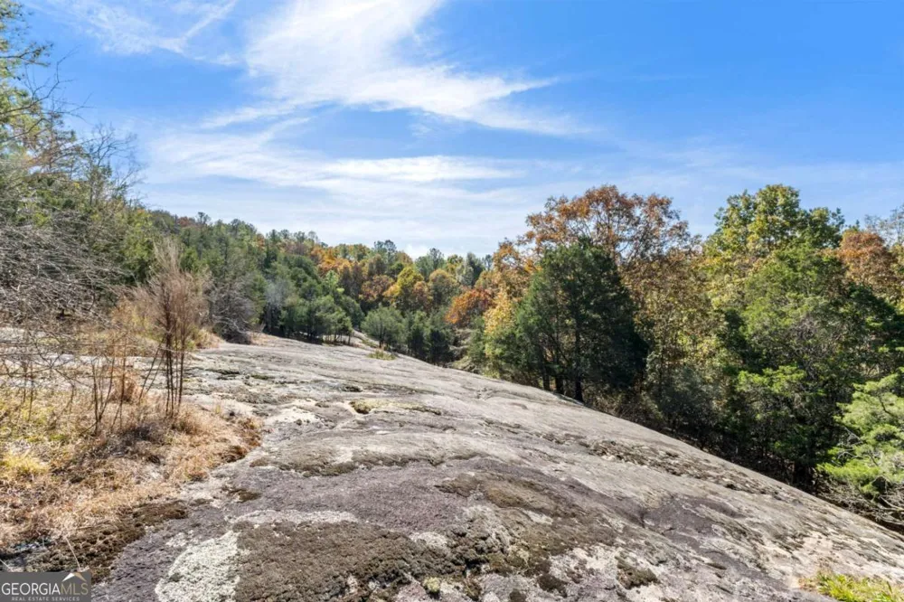 7790 Atlanta Newnan RD Chattahoochee Hills, GA 30268