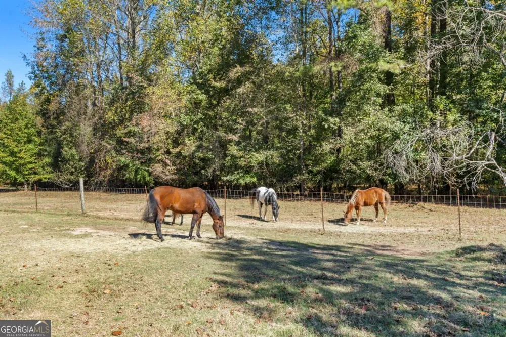 7790 Atlanta Newnan RD Chattahoochee Hills, GA 30268