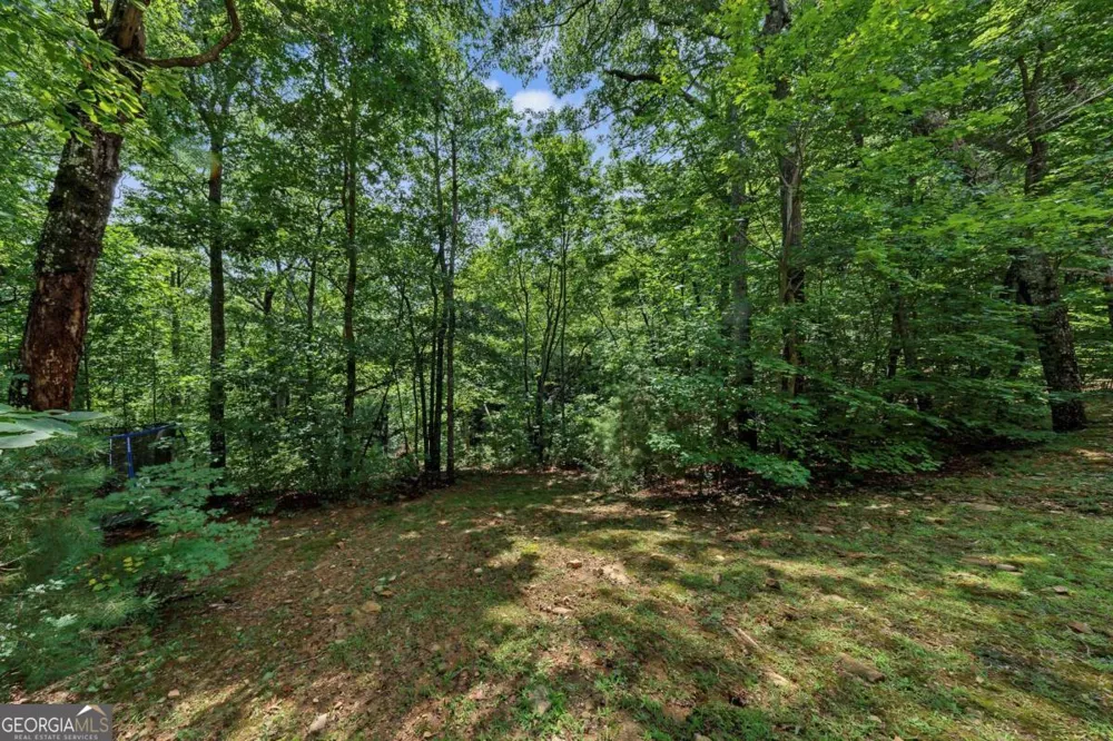 3184 Saint Andrews WAY Ellijay, GA 30536