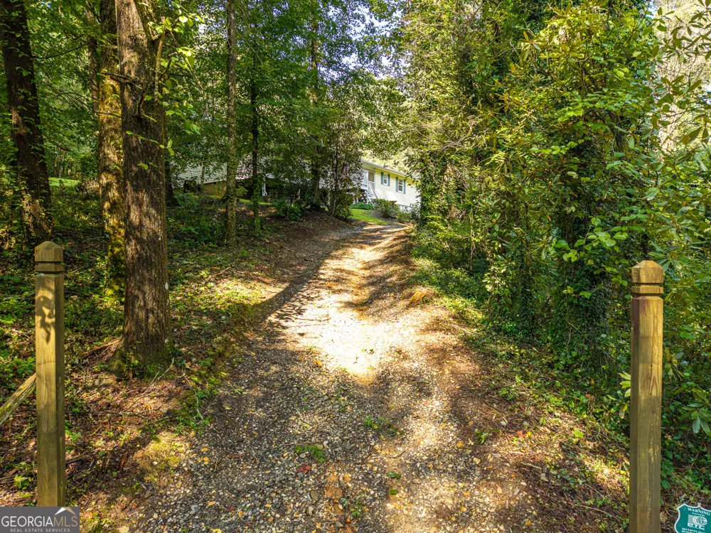 61 Wilderness TRL Ellijay, GA 30540