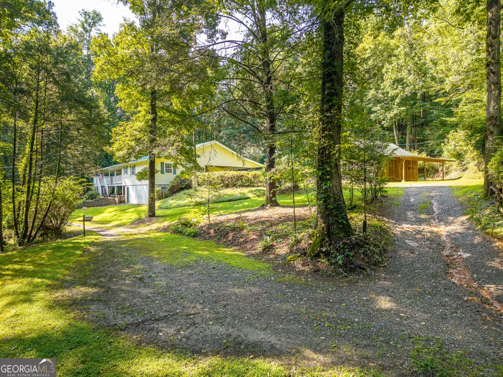 61 Wilderness TRL Ellijay, GA 30540